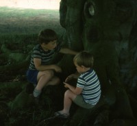Martin and Tim 'guddling' in a beech tree