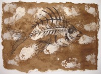 Ink drawing of fossil fish