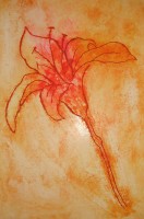 Dry-point etching of fossil lily